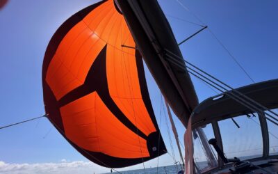 Voilier ou voilière : un métier manuel et technique au cœur du nautisme